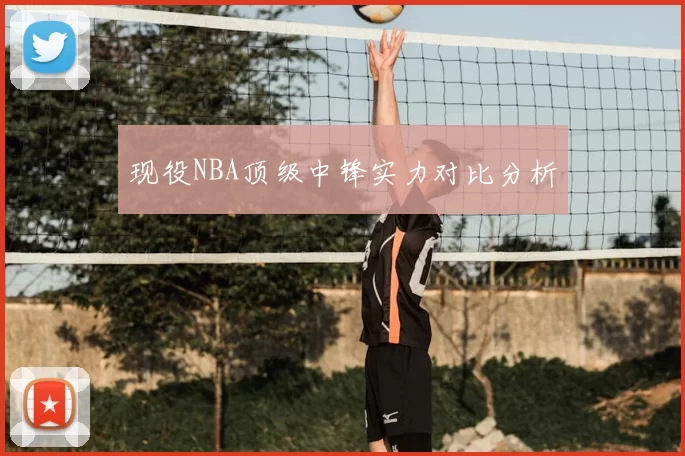 现役NBA顶级中锋实力对比分析