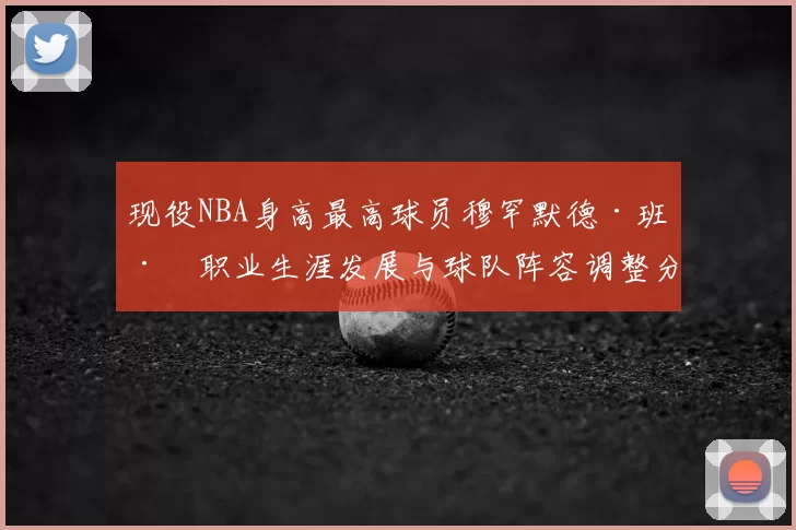 现役NBA身高最高球员穆罕默德·班巴职业生涯发展与球队阵容调整分析