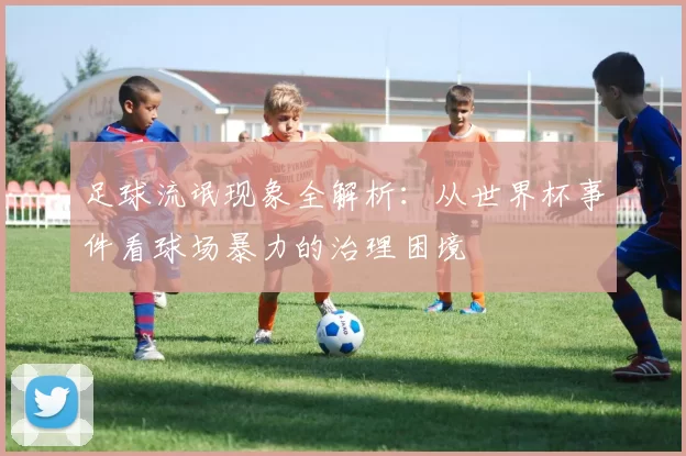 足球流氓现象全解析:从世界杯事件看球场暴力的治理困境