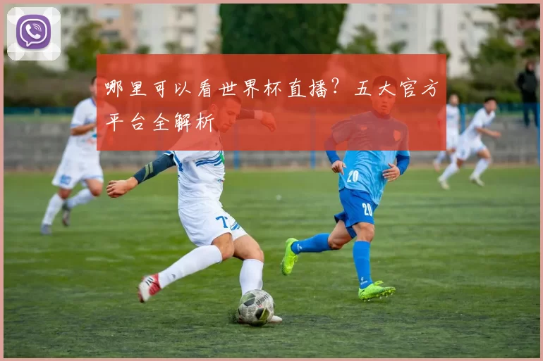 哪里可以看世界杯直播？五大官方平台全解析
