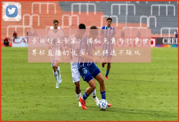 专访行业专家:揭秘免费与付费世界杯直播的优劣,这样选不踩坑
