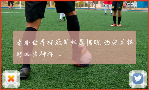 南非世界杯冠军归属揭晓 西班牙捧起大力神杯_1