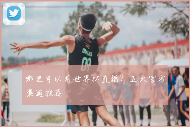 哪里可以看世界杯直播?五大官方渠道推荐