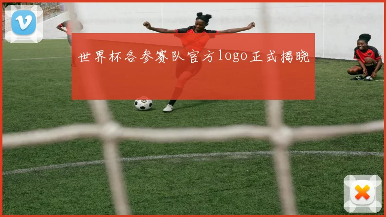 世界杯各参赛队官方logo正式揭晓