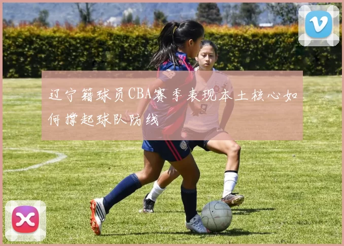 辽宁籍球员CBA赛季表现本土核心如何撑起球队防线