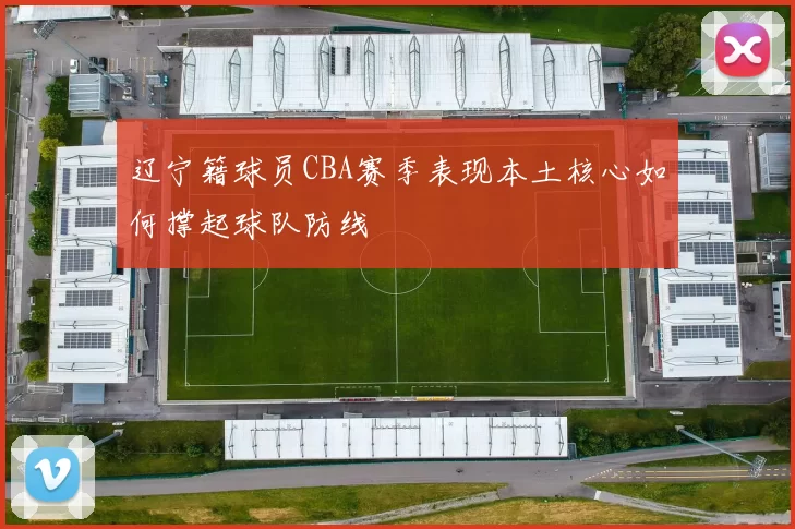 辽宁籍球员CBA赛季表现本土核心如何撑起球队防线