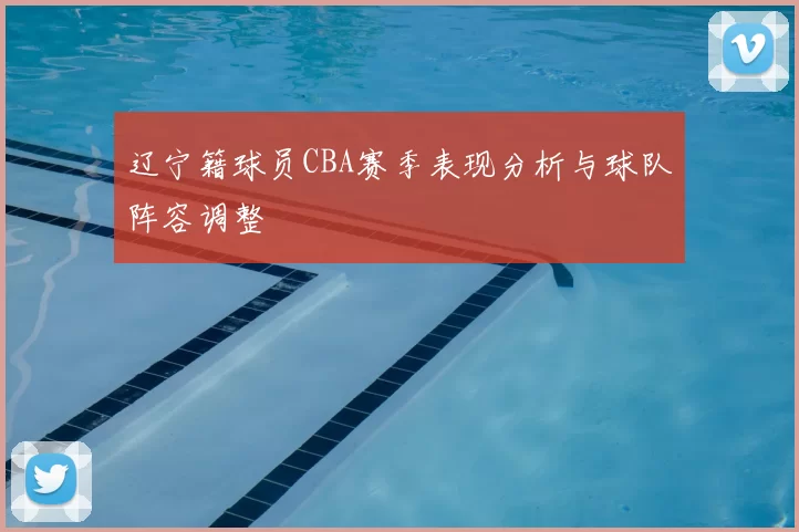 辽宁籍球员CBA赛季表现分析与球队阵容调整