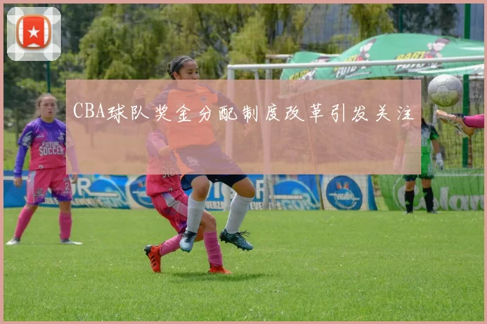 CBA球队奖金分配制度改革引发关注