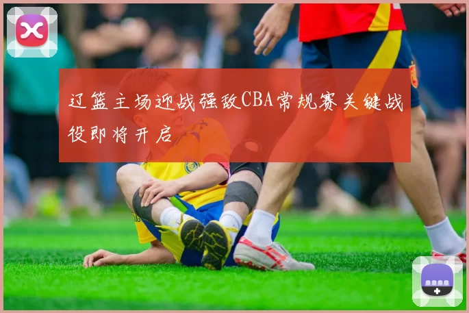 辽篮主场迎战强敌CBA常规赛关键战役即将开启