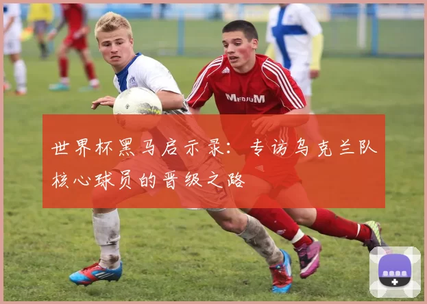 世界杯黑马启示录:专访乌克兰队核心球员的晋级之路